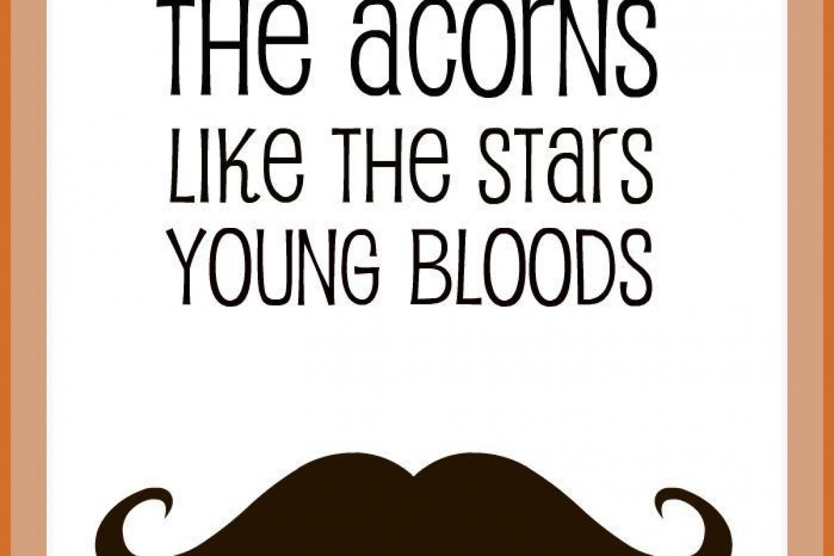 This Wednesday – The Acorns, Like the Stars, Young Bloods at The Music Room