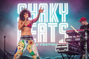 Festival Review: 1st annual Shaky Beats (May 2016) :: Day 1