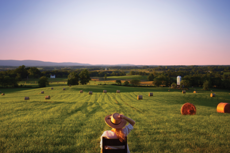 PRESS RELEASE:: Mary Chapin Carpenter Tour Dates + Official Music Video for her new track